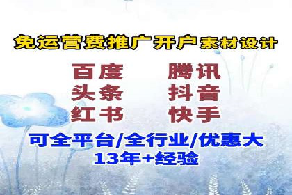 某知名品牌SEM运营策略及效果评估