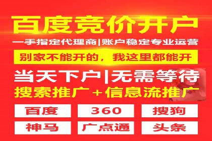 实战经验分享：SEO与SEM优化案例精选